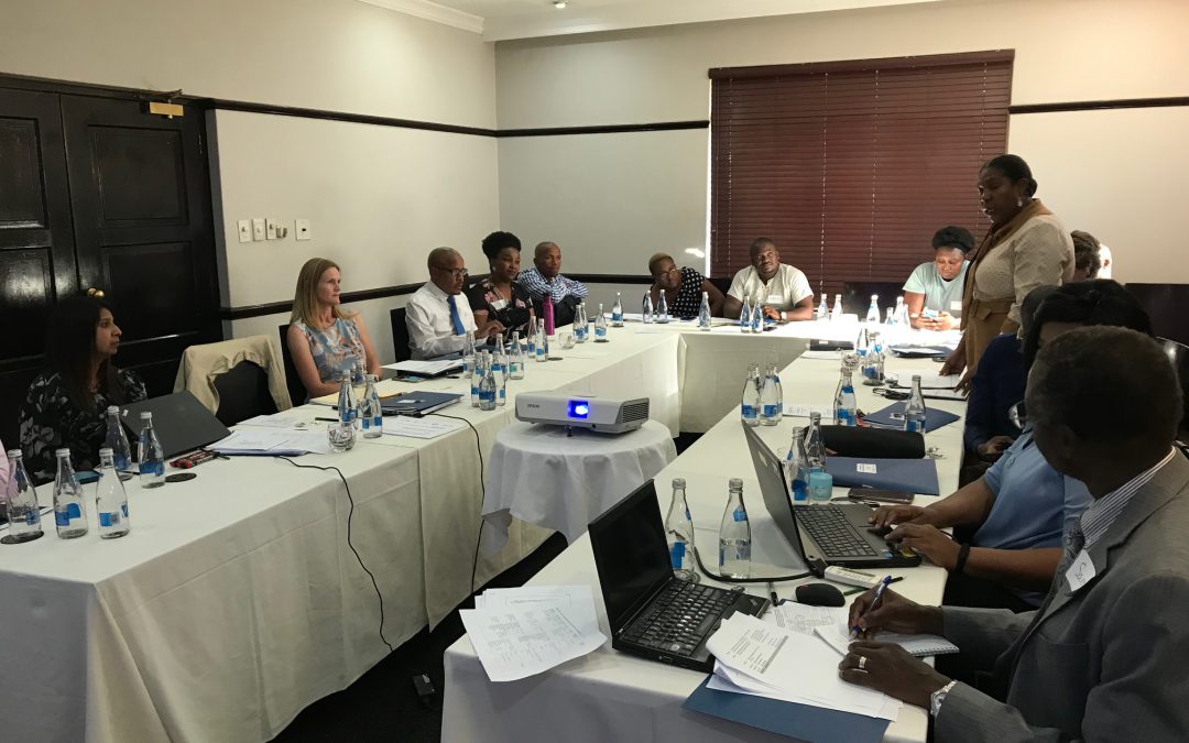 SOAR project (Supporting Operations AIDS Research) advisory meeting